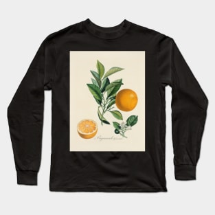 Kitchen, Fruit, Vintage, Typography, Quote, Home, Scandinavian Long Sleeve T-Shirt